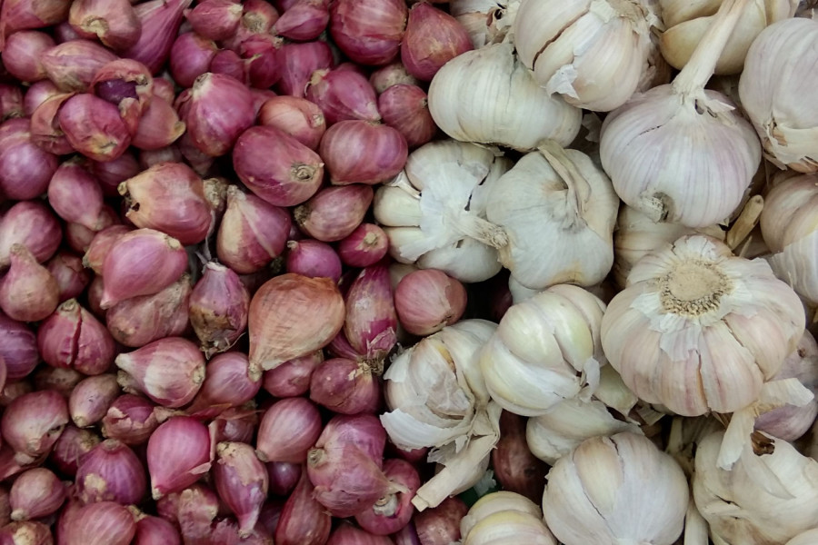 bawang merah probolinggo