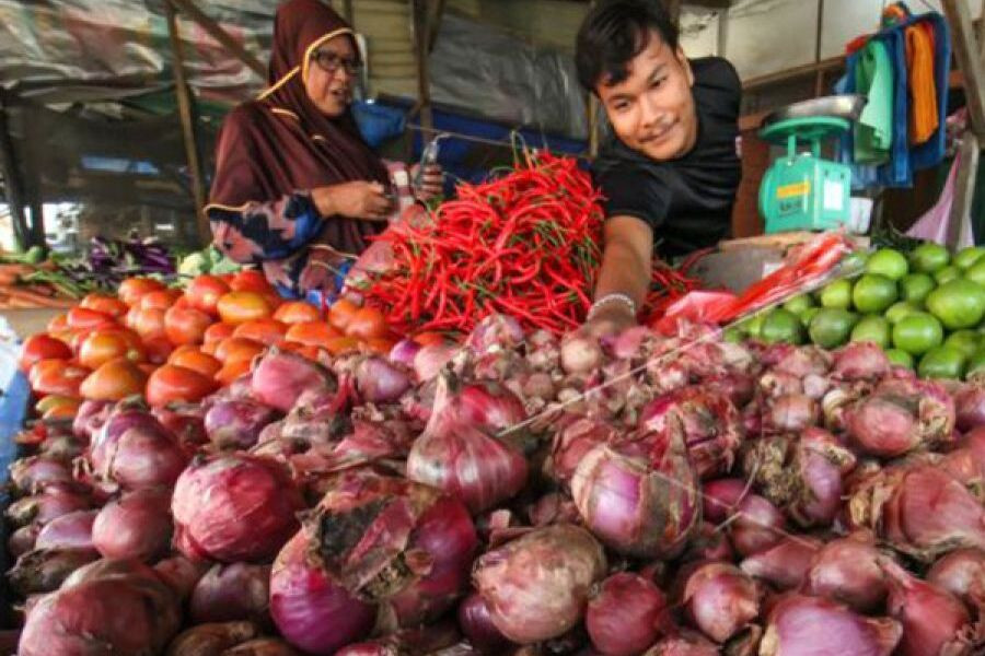 bawang merah probolinggo
