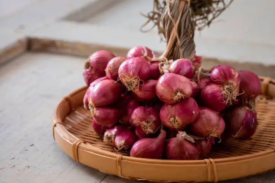 bawang merah probolinggo